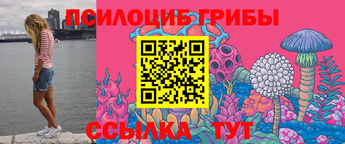 закладка  Псилоцибиновые грибы MAGIC MUSHROOMS  Вход с VPN  Мелеуз 